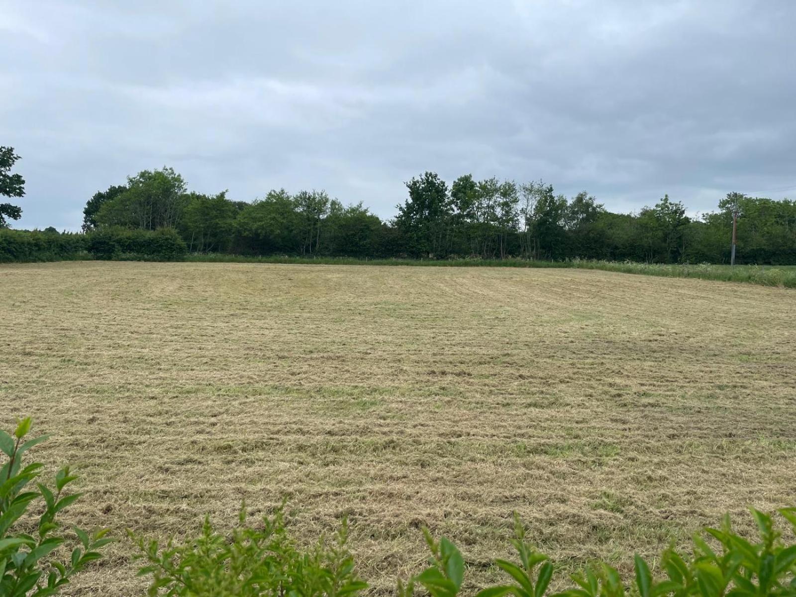 Rural Cottage-Full Kitchen-Pets Ok-Paddock Shrewsbury Exteriör bild